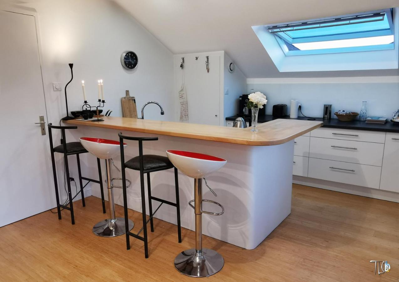 "Le Loft B Bg " Appartement Avec Terrasse G Friendly Straßburg Exterior foto